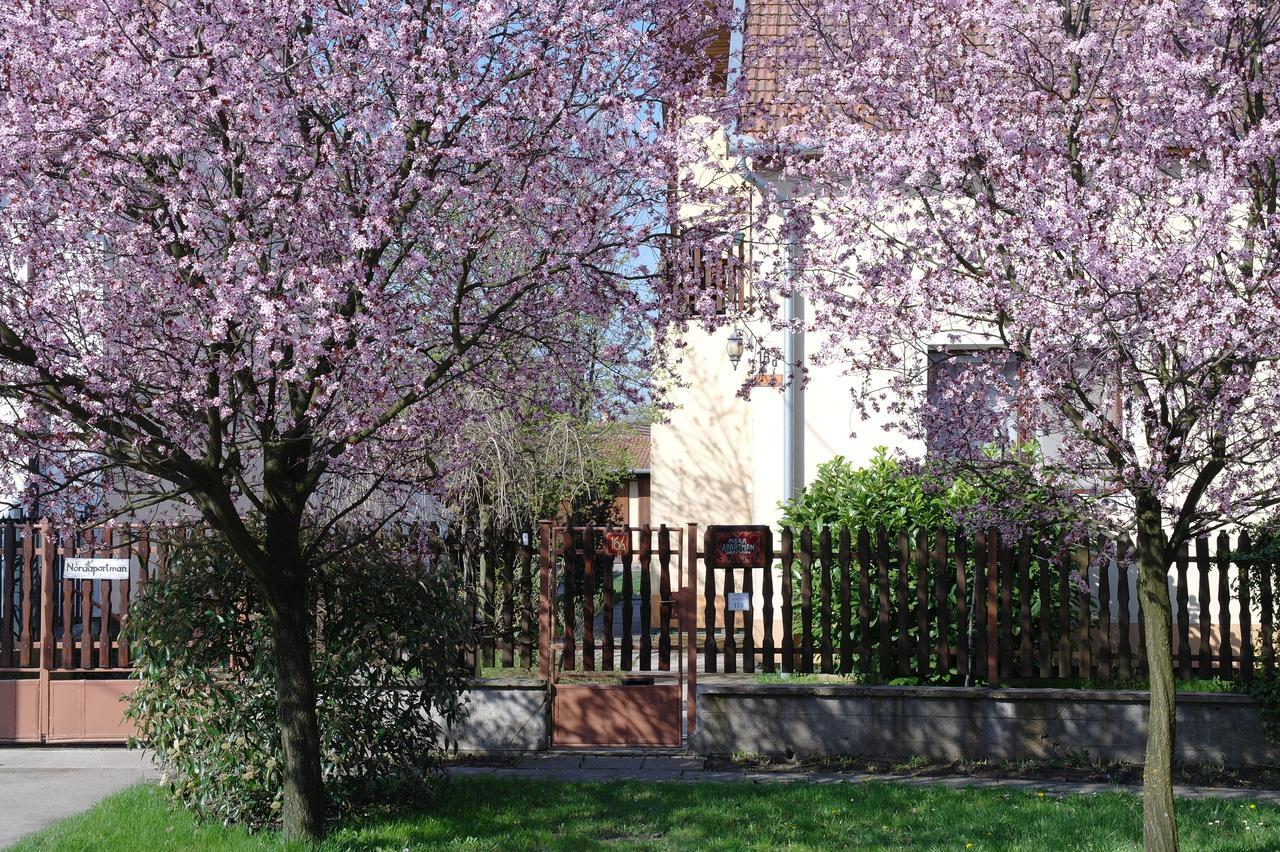 Nora Apartman Gyula Exterior photo